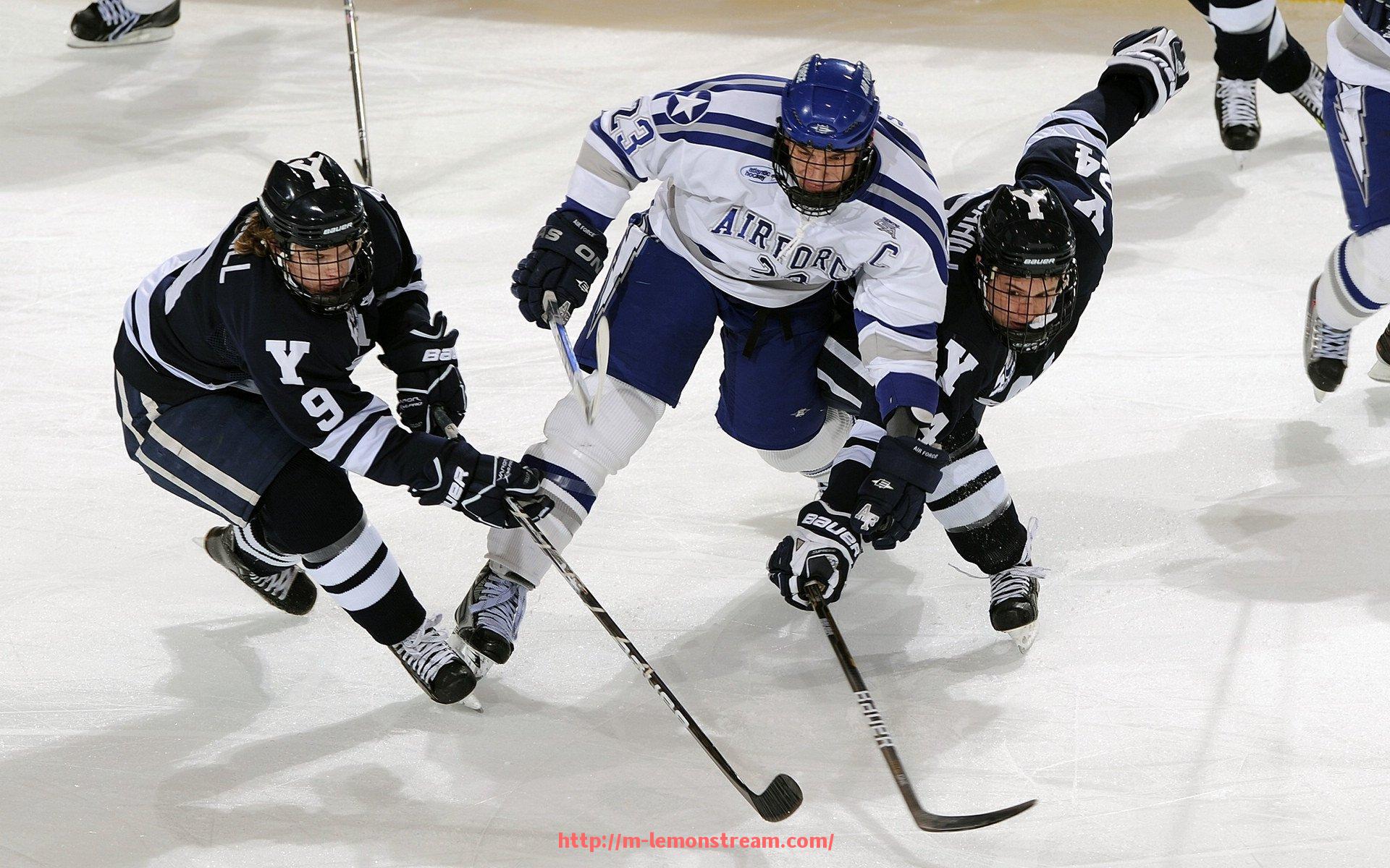 柠檬体育直播-排球意甲联赛最佳球队排行榜及赛事分析