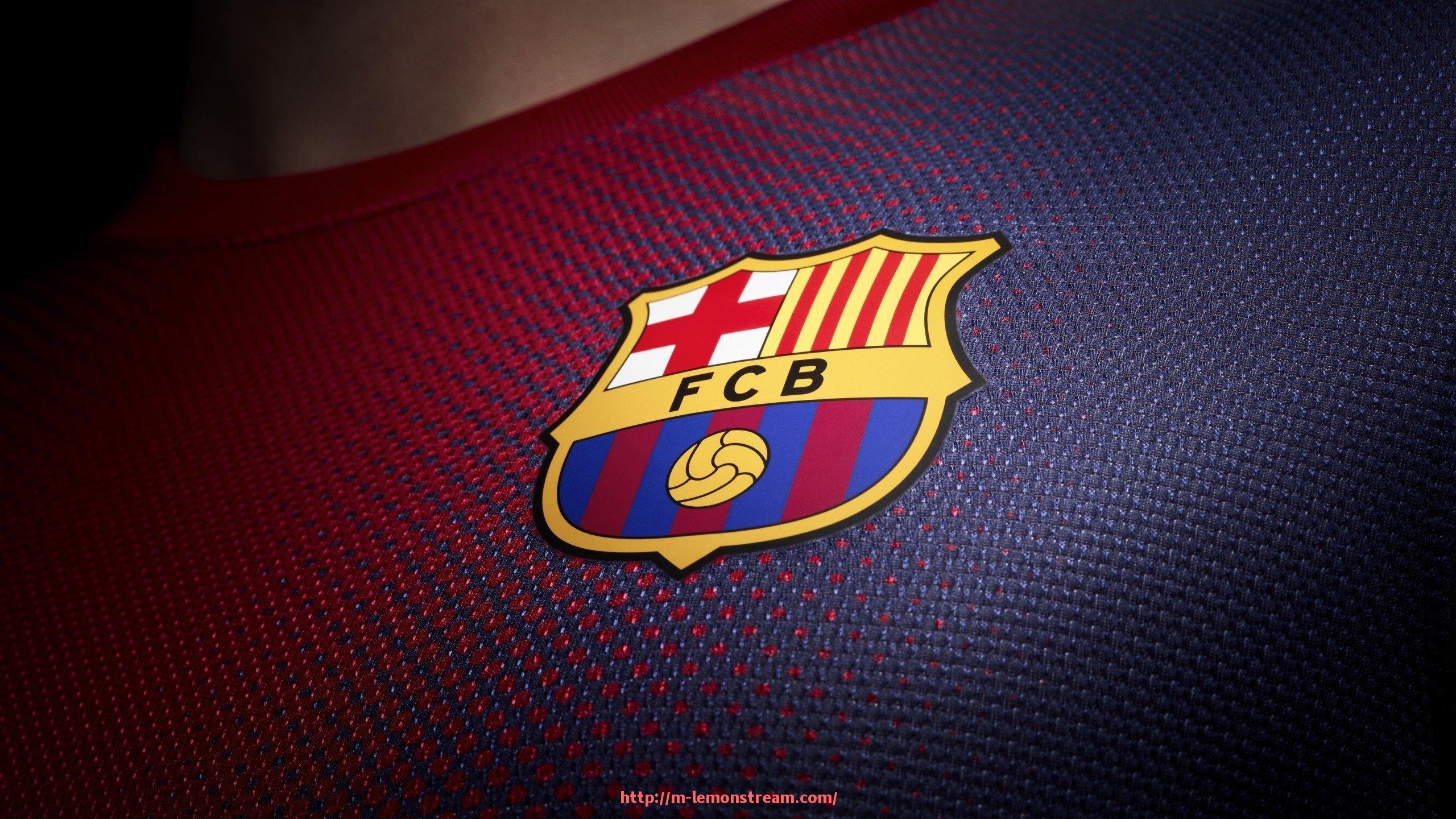 柠檬体育直播-德甲球队换人规则图解及实际应用解析