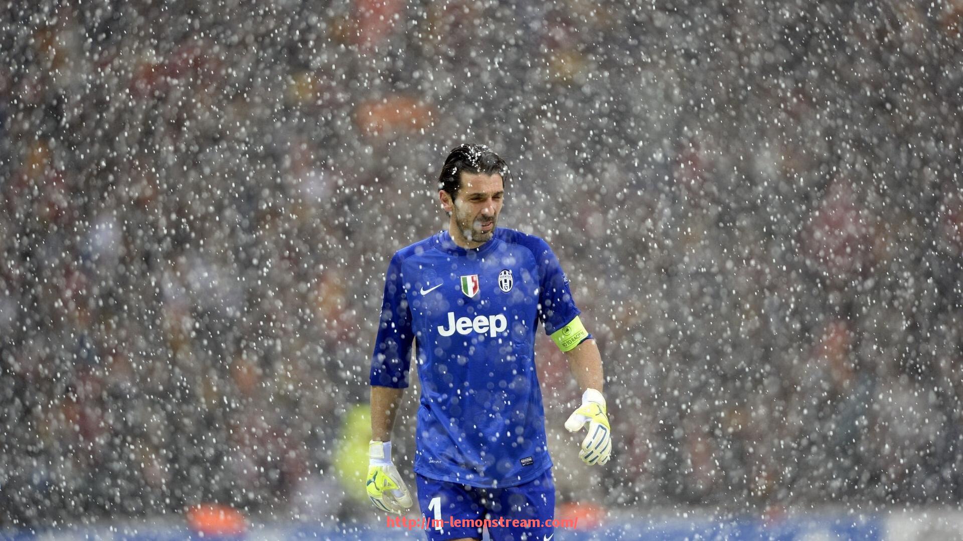 柠檬体育直播-德甲球队分配机制及联赛球队组成分析